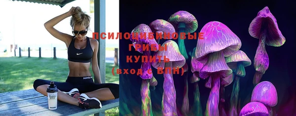 MDMA Premium VHQ Гусиноозёрск