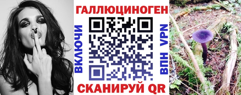 Галлюциногенные грибы мицелий  где можно купить наркотик  Ветлуга 