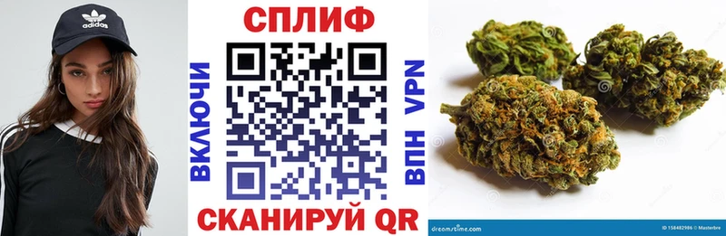 купить наркоту  Ветлуга  площадка какой сайт  Марихуана White Widow 